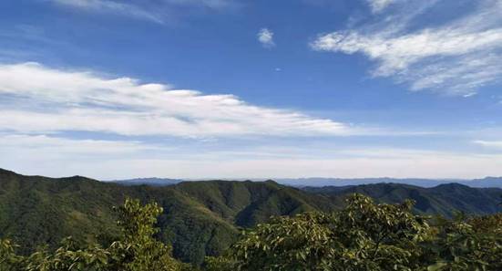 818978f4a075834f5f37007476f6397d.jpg image010.jpg